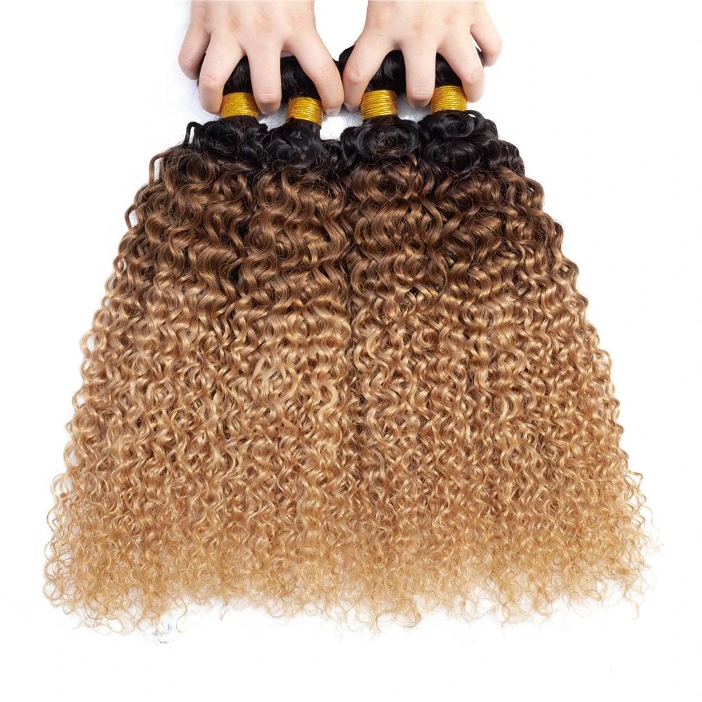 Mongolian Kinky Curly Human Hair