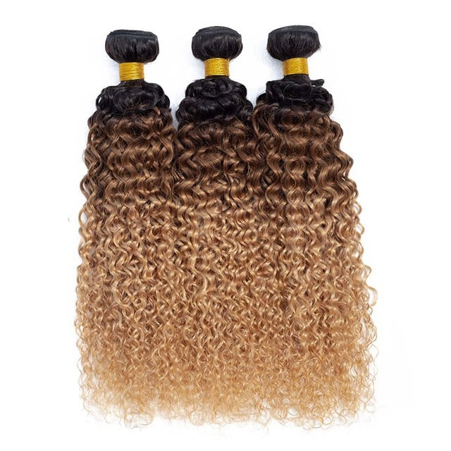 Mongolian Kinky Curly Human Hair