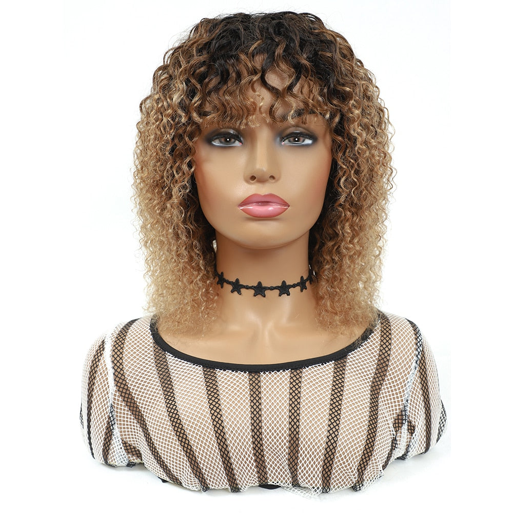 Ombre Kinky Curly Human Hair Wigs